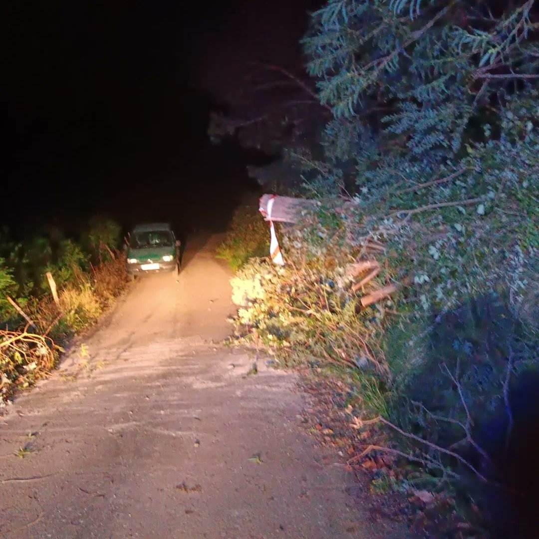 🌳CAIDA DE ARBOLES🌳

Tras varios avisos parte de nuestro grupo de voluntarios acudio a la retirada de varios arboles caidos en la carretera a mercadal.

Procediendo asi a la retirada de los mismos que obstaculizaban el paso de la via.

#ProteccionCivil #cartes
