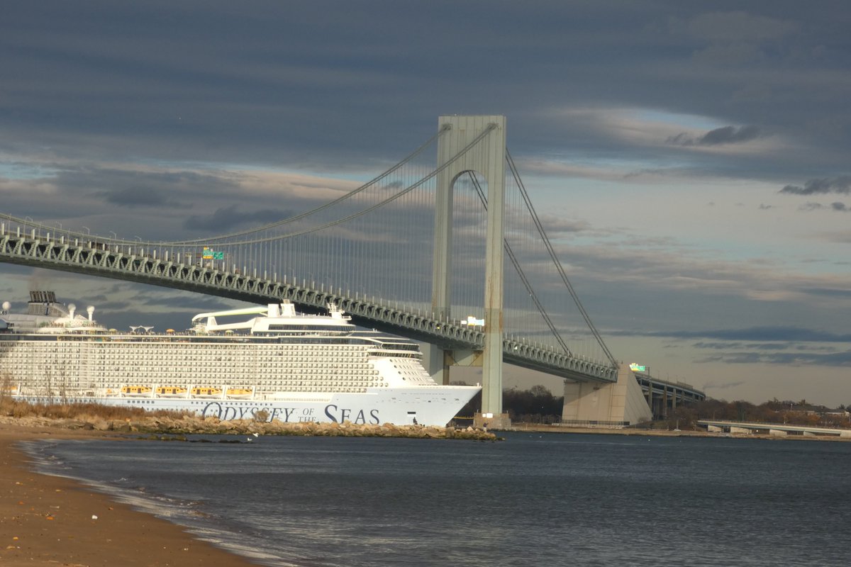 mawgdn's tweet photo. Cruise ship under the Verrazano Bridge, lit by the afternoon sun for #AlphabetChallenge #WeekUforUnder https://t.co/SsERvVjfY0
