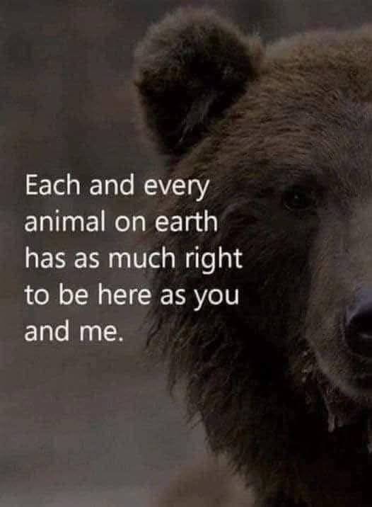 Dervilla(v) (@derviemoo) on Twitter photo 