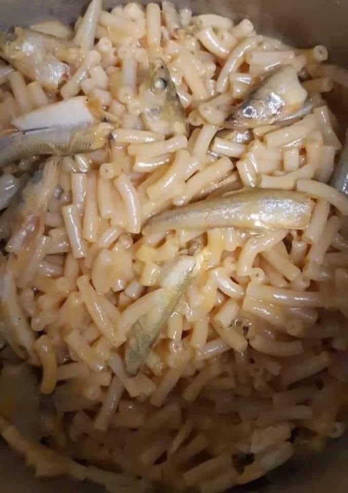 luvglubglub's tweet image. Ratey macn minnows 

#chef #cook #linecook @GordonRamsay  @GuyFieri