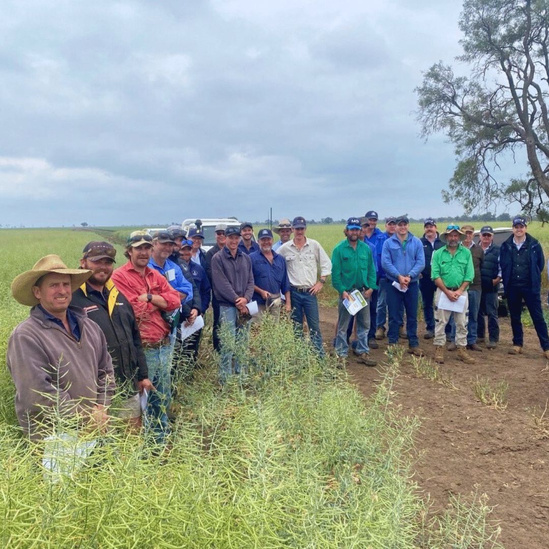 We had a fantastic turnout earlier this spring at the <a href="/DeltaAg/">Ash G</a> #Coonamble field day ⭐

Brett Mawbey #Nuseed ASM spoke to growers about all things #canola 🌼

Have any questions? Get in touch with your local Nuseed ASM 👉 bit.ly/ContactNuseedAU