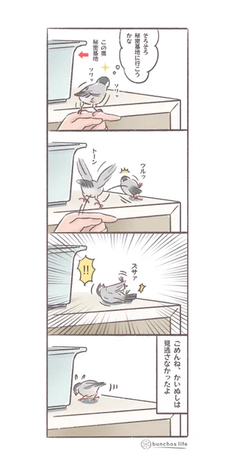 文鳥、割と失敗しがちなの好きw
#文鳥 
#4コマ漫画

※2025文鳥カレンダー予約販売中!
SUZURIグッズも追加しました!
ハイライトから見てね✨ 