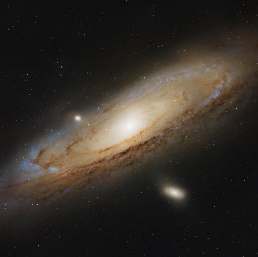 AstrophotRocks's tweet photo. Andromeda Galaxy [by dukecurrywood]
  
 #astronomy #astrophotography https://t.co/e6FZbXPoOC