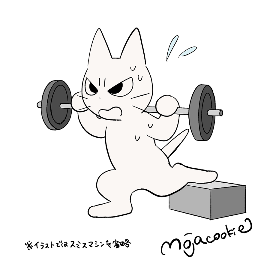 今日もブルガリアンスクワット(片足ずつのスクワット)で筋肉を追い込んできました🦵
だいぶ筋トレ好きになってきた!!

代理:しかるねこ 