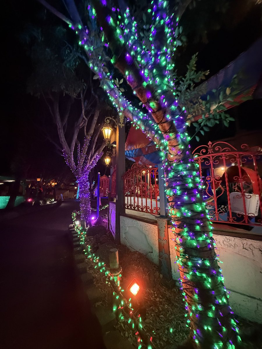 ParksAndCons's tweet photo. Had a really great time checking out Duke's Very Merry Village with @megdog5000 &amp; @BradJashinsky! We’ll talk all about it on an upcoming show! https://t.co/k9F4zWaxgY
