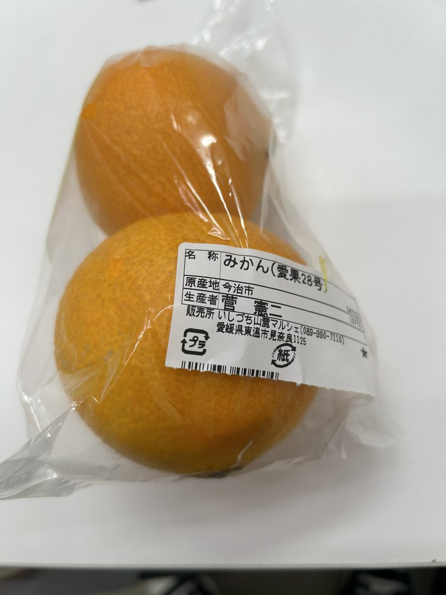 音響照明やってもらい、さらに「車無いと大変でしょう」とずっと車で送っていただいたり、THEATER NESTの坂井さんがいないと今回の愛媛ツアーは成り立たなかったです。気付くと楽屋に置かれてたみかんも坂井さんの優しさ。きっとどのみかんよりも甘いと思います。大感謝してます。

#街裏ツアー