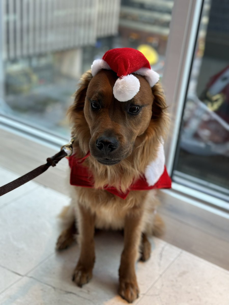 Steph WeIIs, Ph.D. tweet media