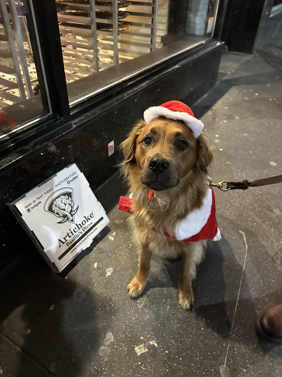 Steph WeIIs, Ph.D. tweet media