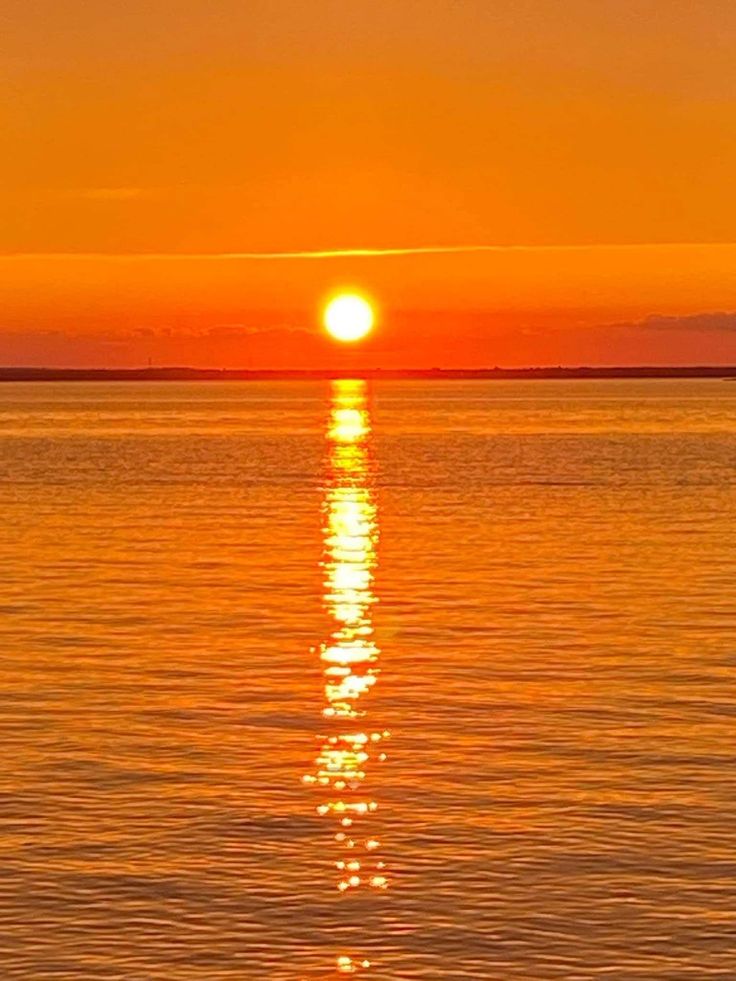 broadening horizons
painting my first watercolour 
the ocean is liquid gold

#vss365 #haiku

Image: Getty