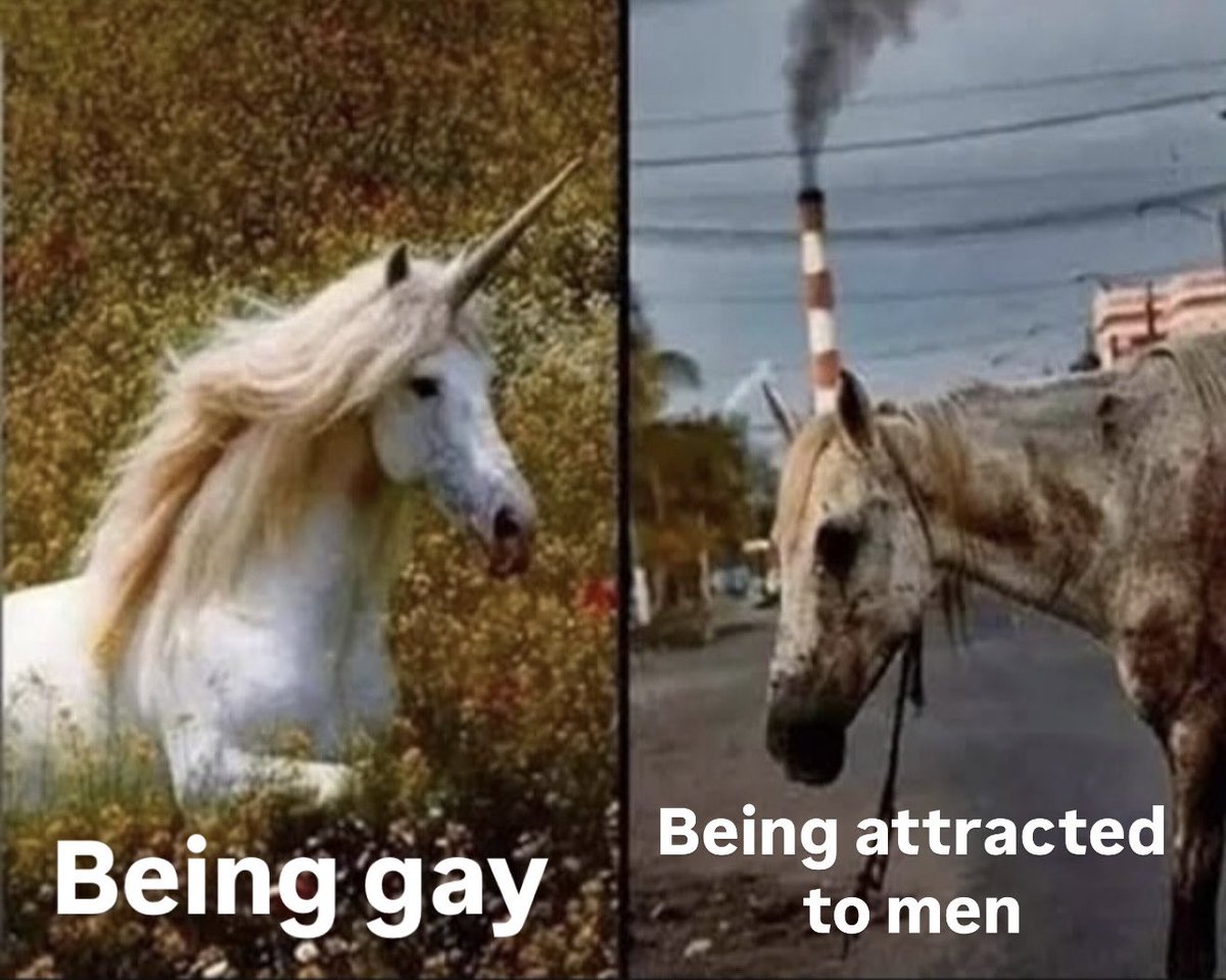 chris (@mych3micalswift) on Twitter photo 