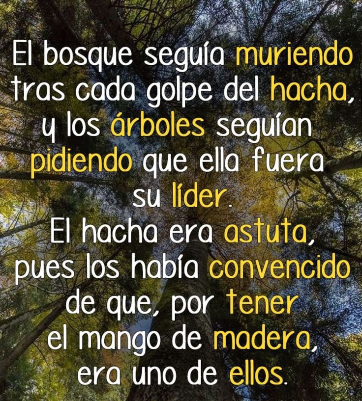 Silvana De Francesco (@silvanadfrances) on Twitter photo 