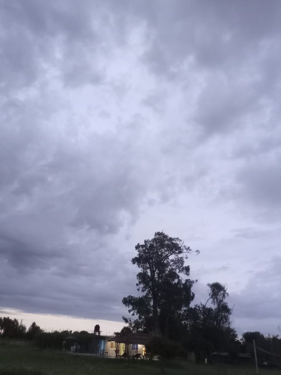 Solvelazquez222's tweet photo. Gracias, volveremos pronto. Sentí que estaba en la casa de mi abuela, esas plantaciones, comimos comida echa con amor 💘 https://t.co/tDpeE3sjVG
