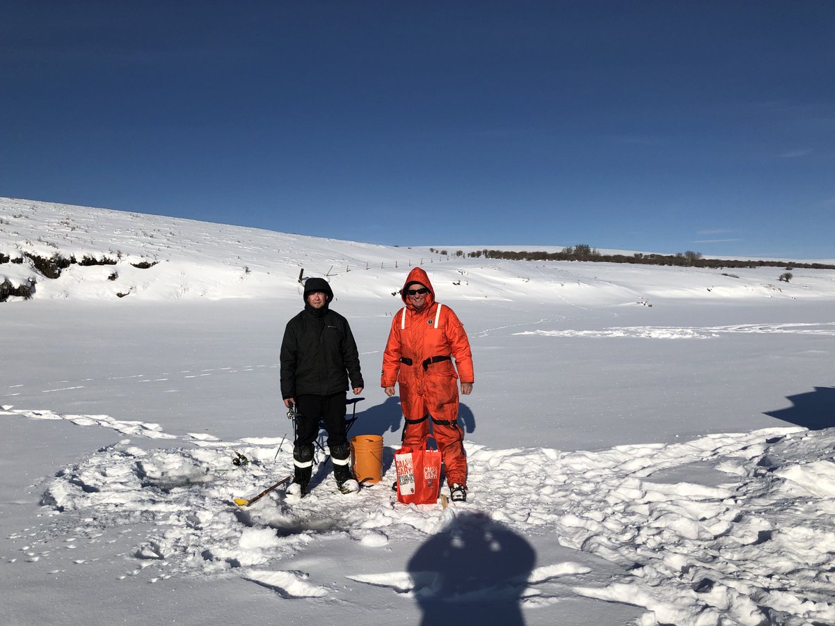 Frank Burns (@frankburns15963) on Twitter photo 