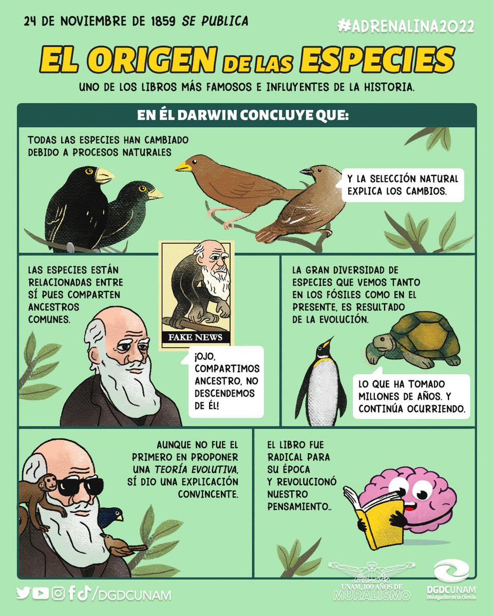 Un día como hoy, en 1859, se publicó uno de los libros más influyentes de la historia: El origen de las especies de Charles Darwin, revolucionando nuestra comprensión sobre la evolución y el origen de la vida.