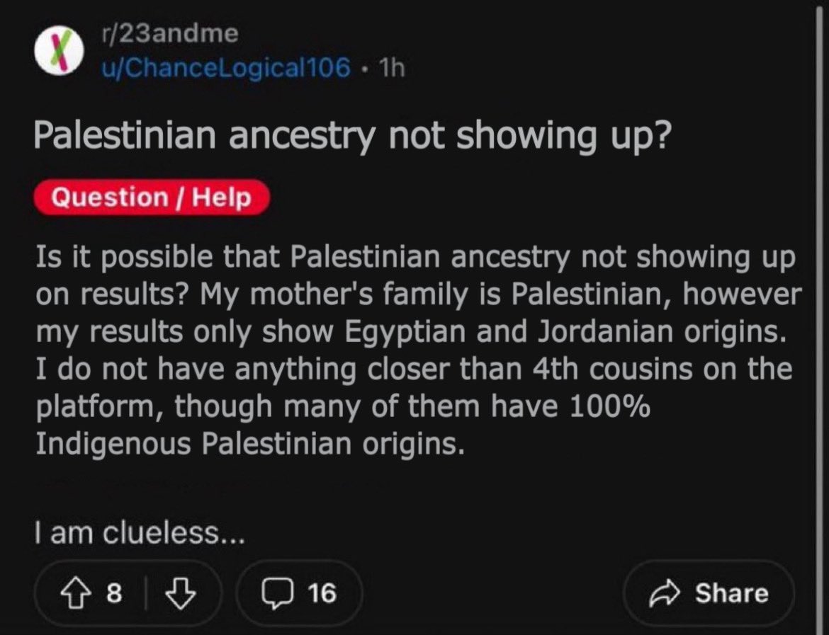 Caт Bee 🪶 tweet media