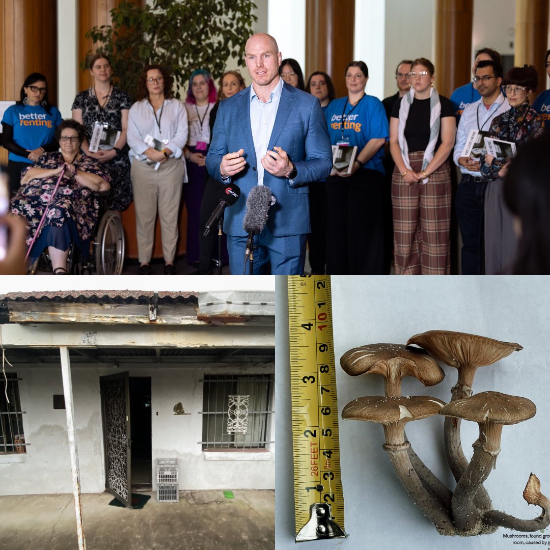 DavidPocock's tweet photo. Taxpayers give landlords billions in tax concessions.

It’s time we tied that to better conditions for renters.

Conditions some renters live in are appalling as photos from @BetterRentingAU show

Australians deserve safe, affordable housing. https://t.co/ioVTNIovK2