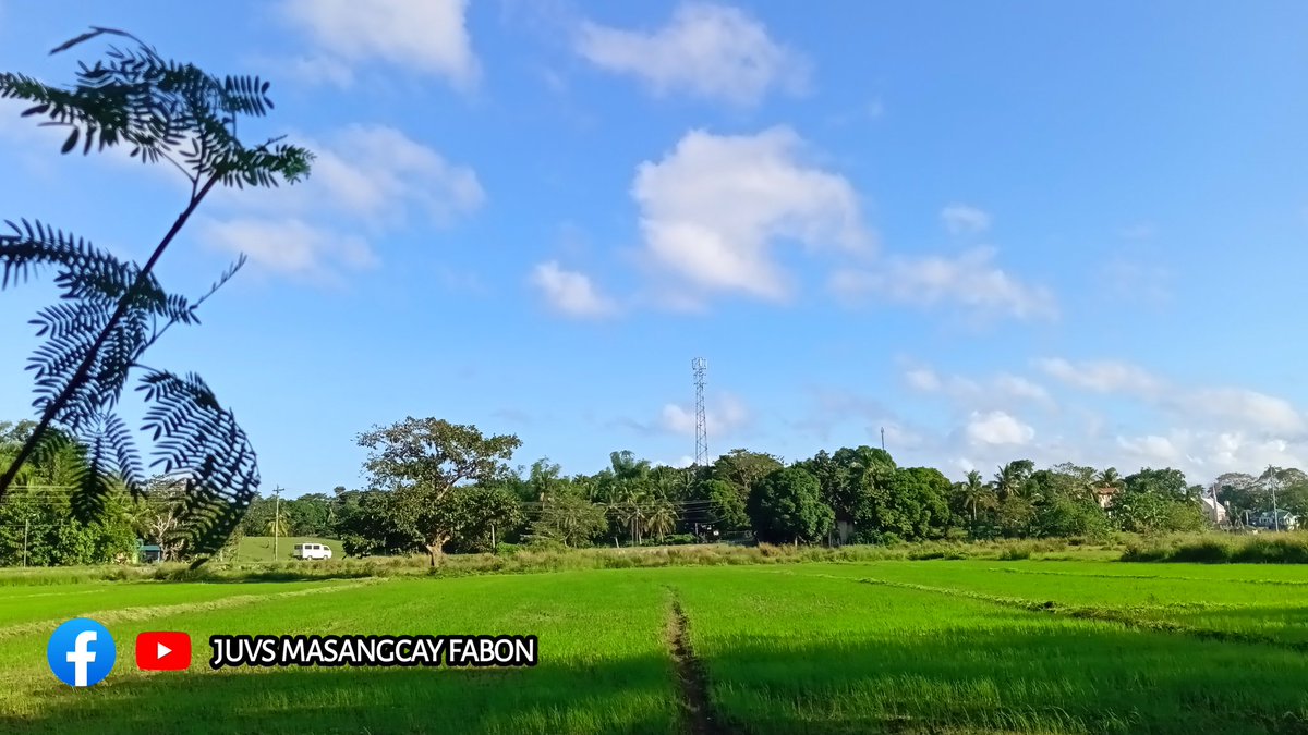 juvsfabon27's tweet photo. Good Morning ☁️🌾 BARANGAY ANAHAO ❤️ https://t.co/DdVpHTlhFB