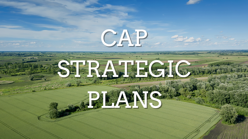 ARC 2020 tweet media