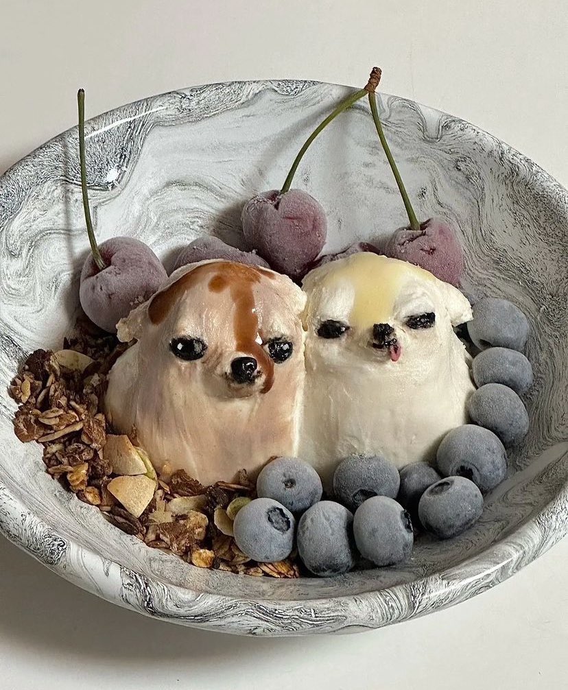 twaniimals's tweet photo. chihuahua yogurt https://t.co/va1Bxavm9E