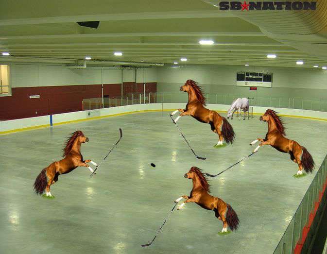 Horse hockey