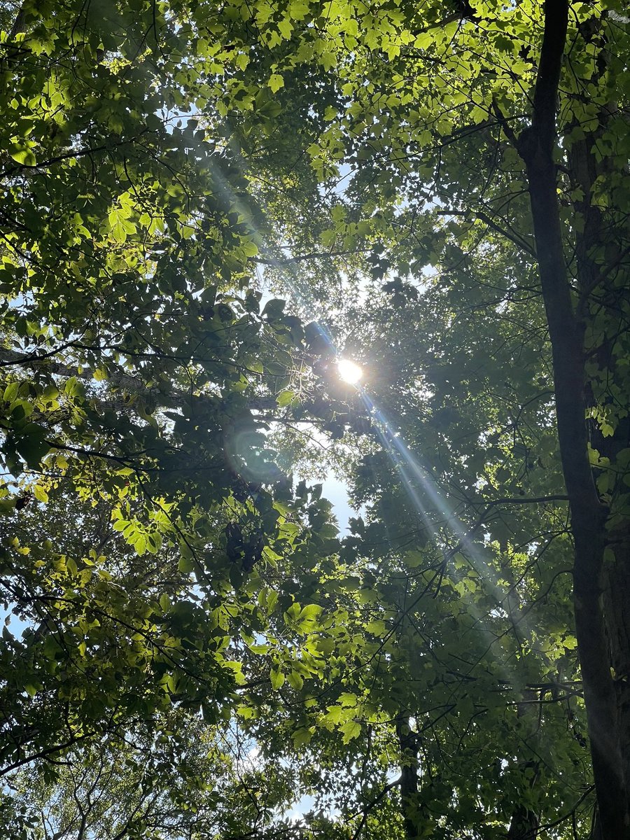 Suzugarcia's tweet image. With you, I face my fears, leaving them behind, letting them dissolve in the space between us, and growing with every step we take.
#justwriting