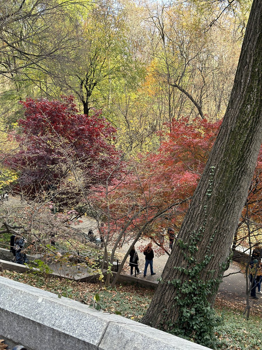 Casp3rgirl's tweet photo. Fluffy pancakes at Sarabeth’s, then a Sunday stroll in Central Park 💌 #nycdiaries https://t.co/33u8Q8ywyy