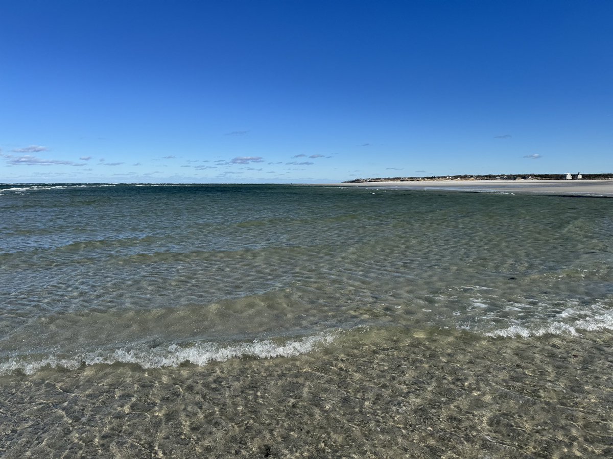 beachchairs's tweet photo. https://t.co/bH6kRpjEUd