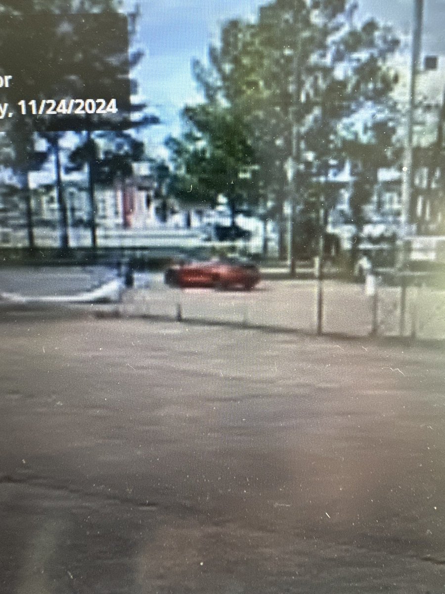 DNice0217 tweet media