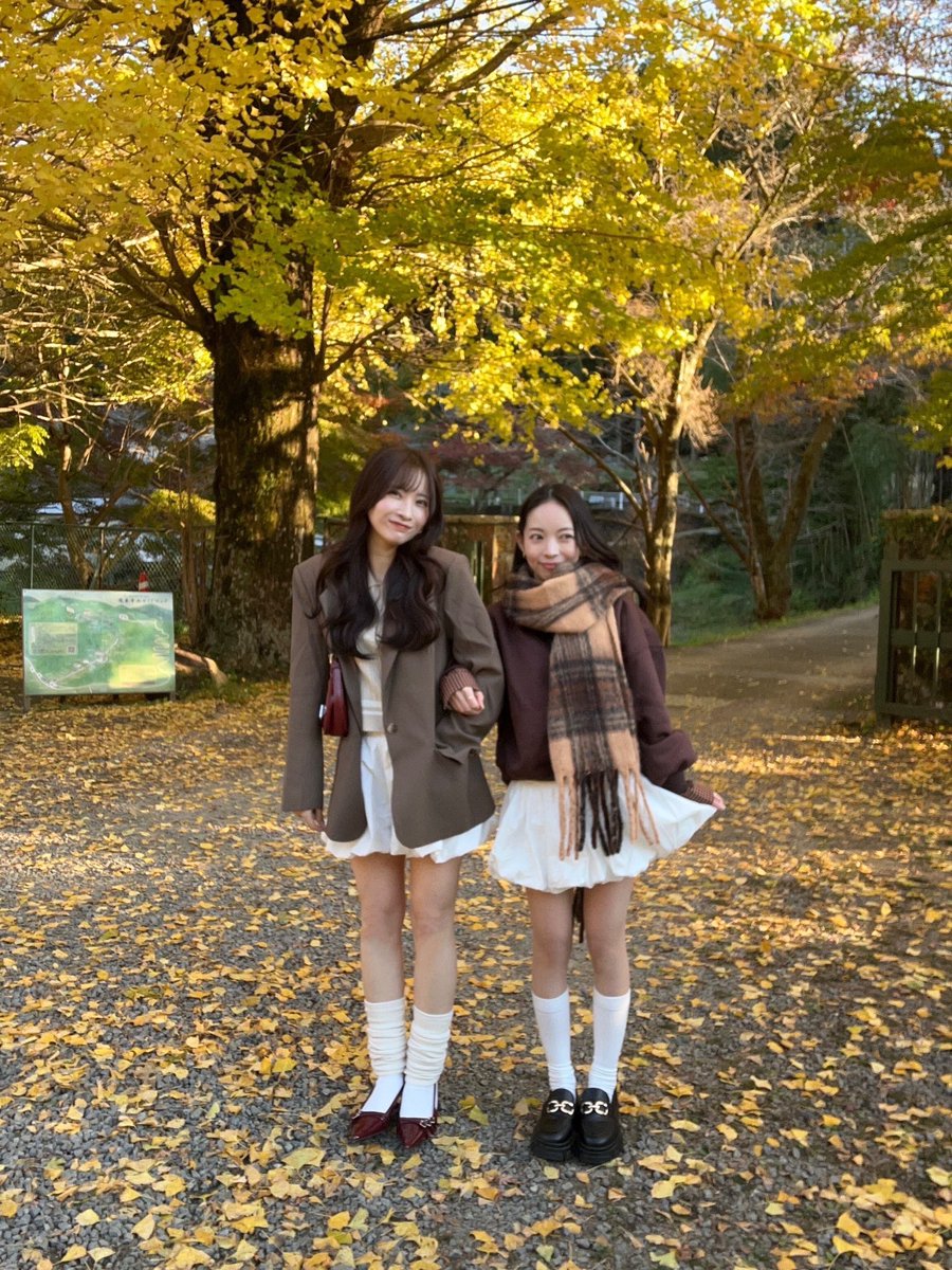 _kachamu_'s tweet photo. autumn🍁🍂 https://t.co/4Dg10CnNm4