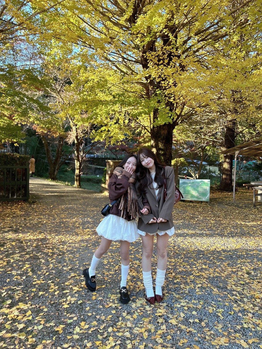 _kachamu_'s tweet photo. autumn🍁🍂 https://t.co/4Dg10CnNm4
