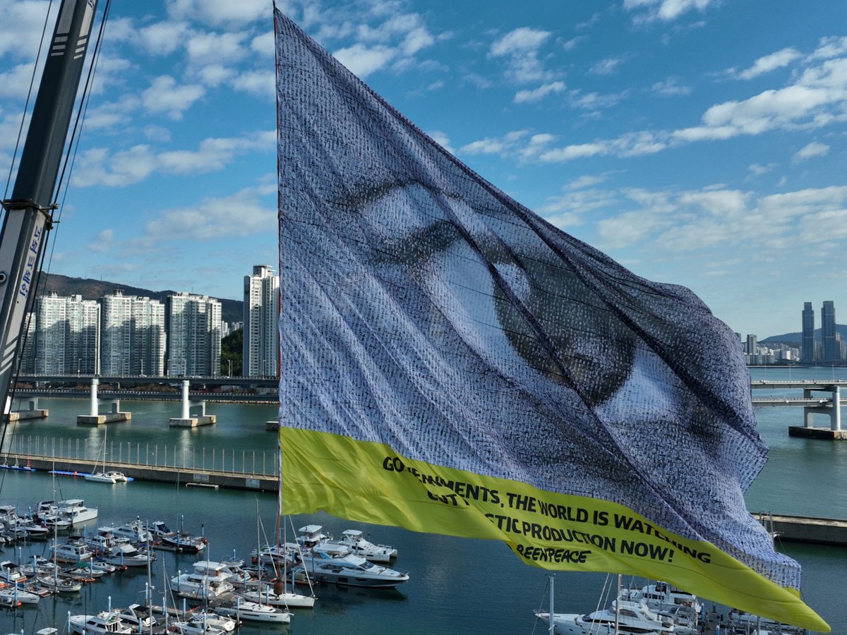 At #INC5 in Busan, South Korea, a flag with a giant eye composed of thousands of portraits from around the world has been unfurled.