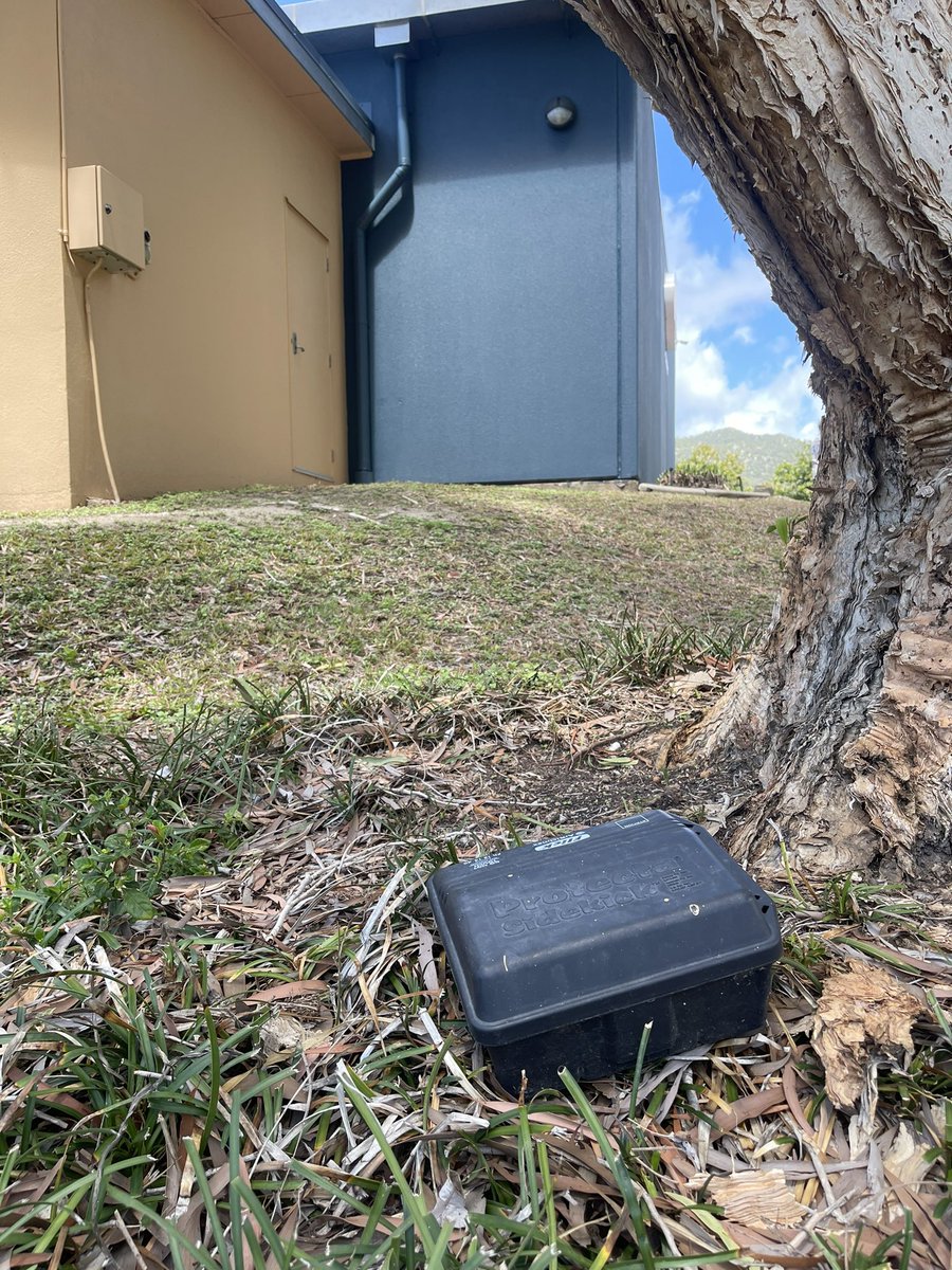 Another example of why we should not have access to anticoagulant rodenticides. Bait station in a garden bed 5+ meters from a shop. Waiting for a rock wallaby to put its hand in?