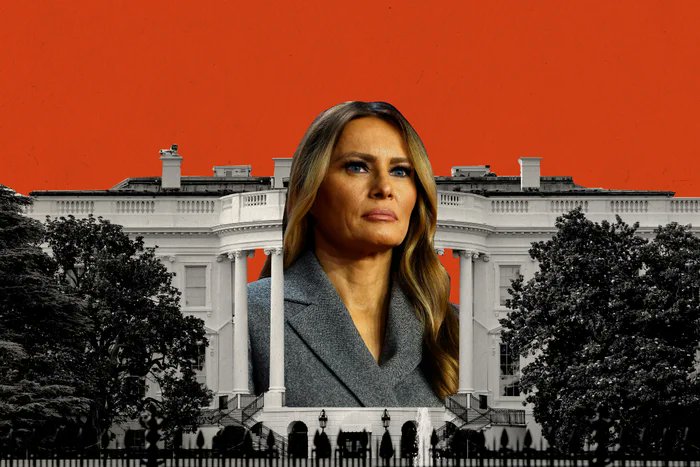 Lovable Liberal and his Old English sheepdog tweet media