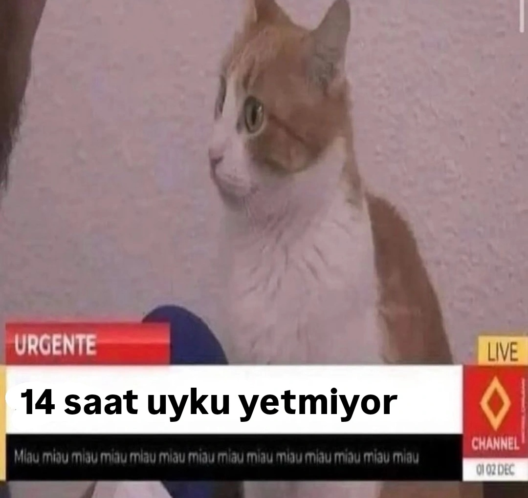 ANLIK (@anlikmod) on Twitter photo 