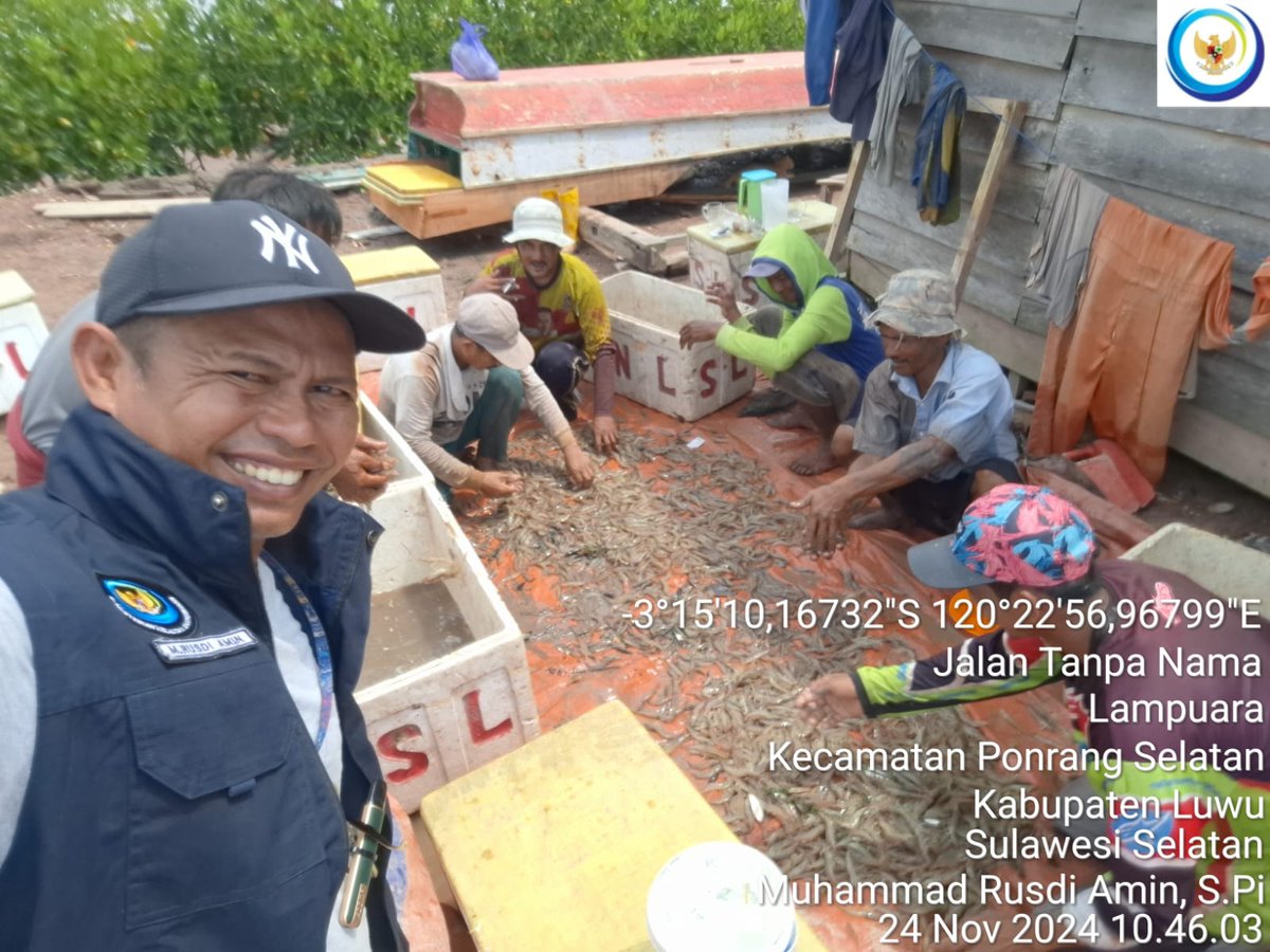 75Rusdi1's tweet photo. Minggu (24/11/2024) Muhammad Rusdi Amin, S.Pi mendampingi anggota Pokdakan Lamimutung panen udang Vannamei sebanyak 220 Kg size 120 ekor/Kg
#GiatLuhkanSatminkalMaros
#Luhlapor 
@BRPBAP3_Maros 
#panen https://t.co/HpP1RvHRkc