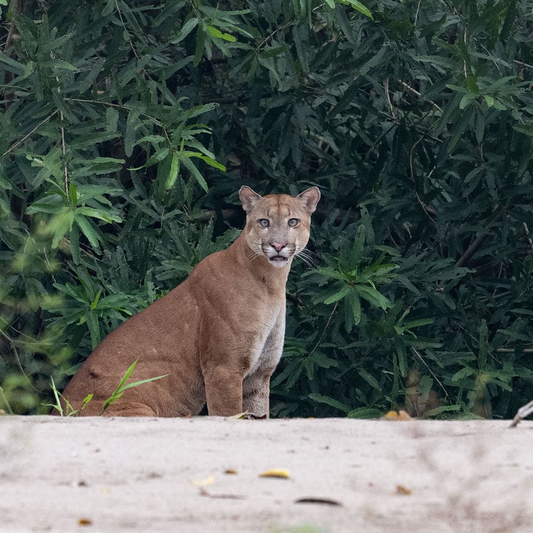 VagrantTravels's tweet image. 