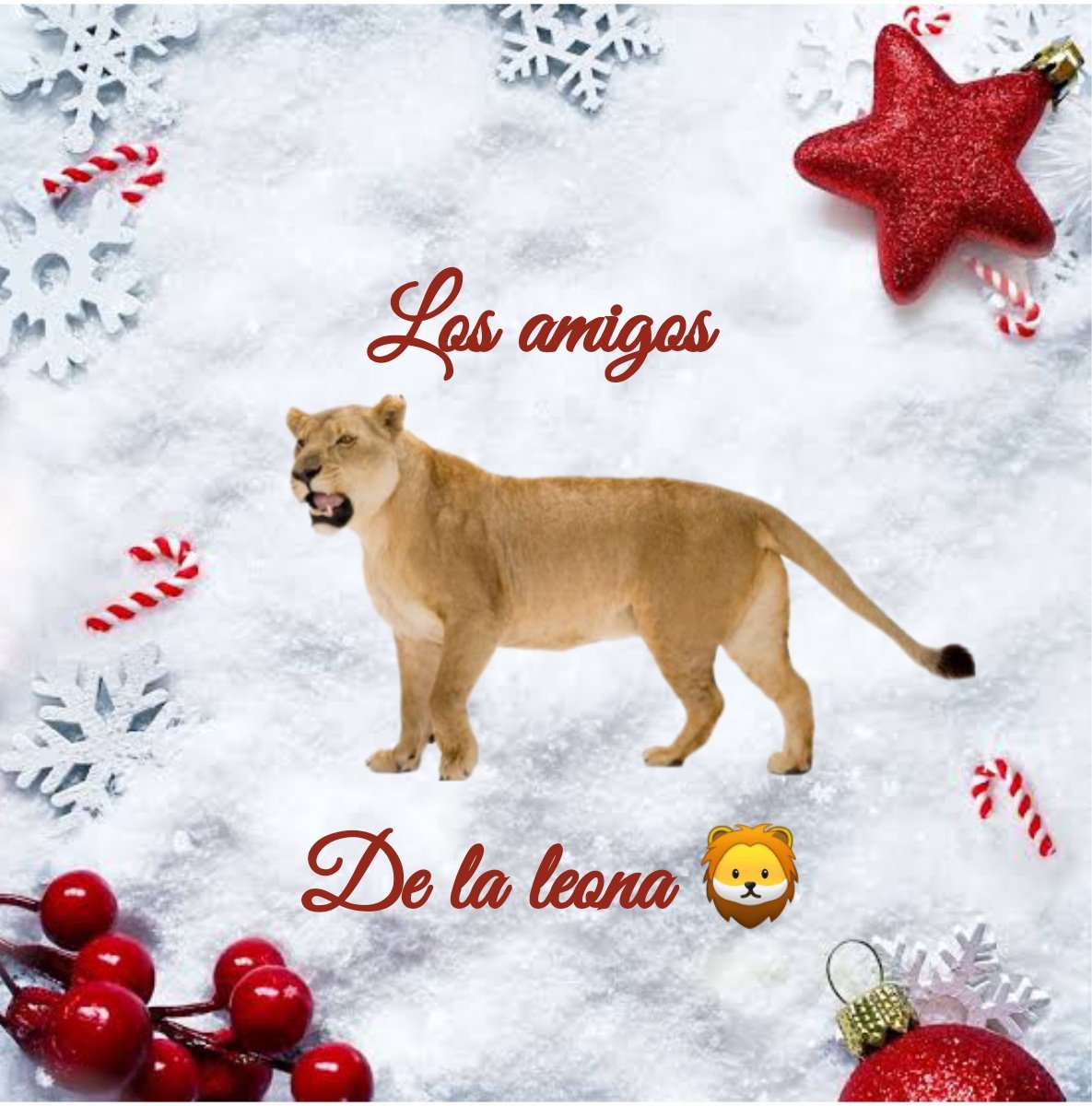 ╦═╗
║╣OllOW ➡️
╩ 
#LosAmigosDeLaLeona 🦁
<a href="/MartaAvendao/">Marta Avendaño 🍃🌸</a> 
<a href="/norita3329/">Nora....</a> 
<a href="/Ev3rywh3r3/">★｡☆｡* Ev3rywh3r3 *｡★｡☆</a> 
<a href="/_Pili77_/">María</a> 
<a href="/SalvarMonica/">Mónica</a> 
<a href="/JcdavilaGt/">José Carlos Dávila</a> 
<a href="/alonzo0282/">mariachi</a> 
<a href="/Alucard30Mx/">Alfonso G.M. ⚽️🇲🇽</a> 
<a href="/EdgarAlbaV/">Edgar Alba Velasco</a> 
<a href="/ArmandoMedelli4/">Armando Medellin</a>
