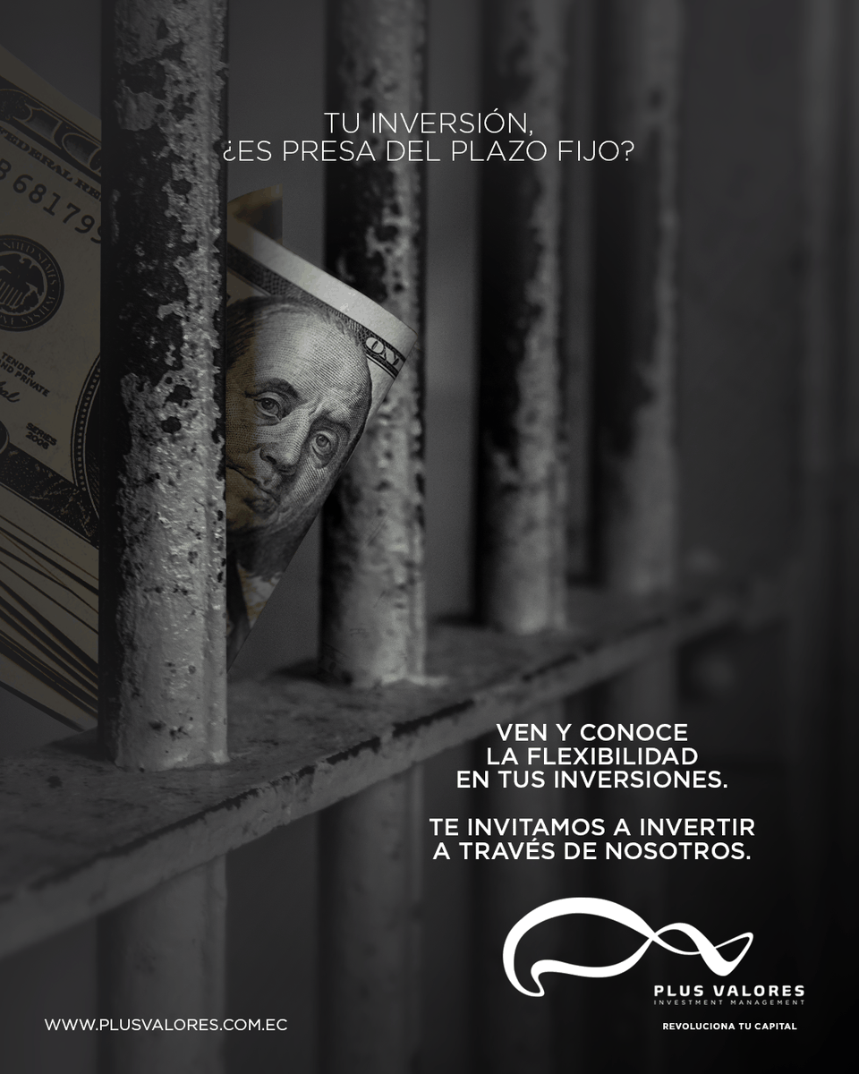 Plus Valores - Investment Management tweet media