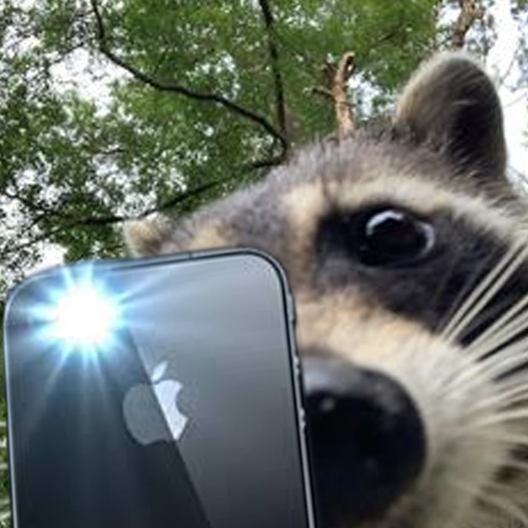 <a href="/cb_doge/">DogeDesigner</a> i see $fred statue over there