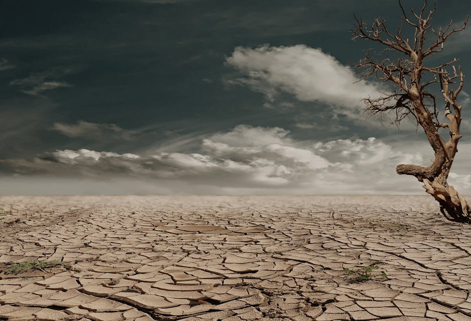 AngelinaBloom_'s tweet photo. Silent witness to a thirsty land. #drought #desertification #climatechange https://t.co/KFZFsN7Lye