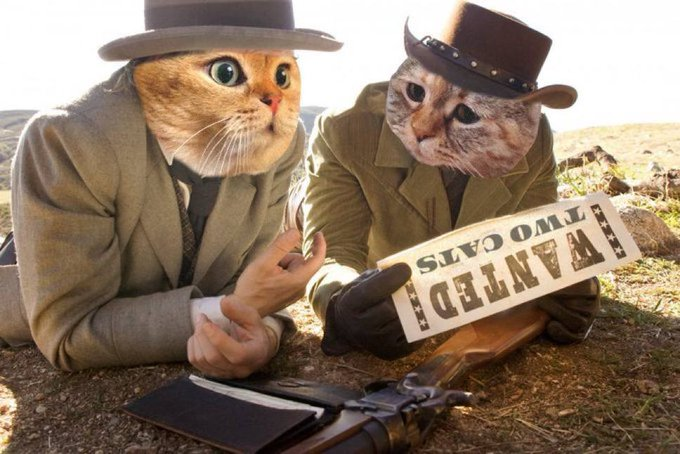 Study thoroughly before taking the first shot. Stay tuned for $Taca 👌