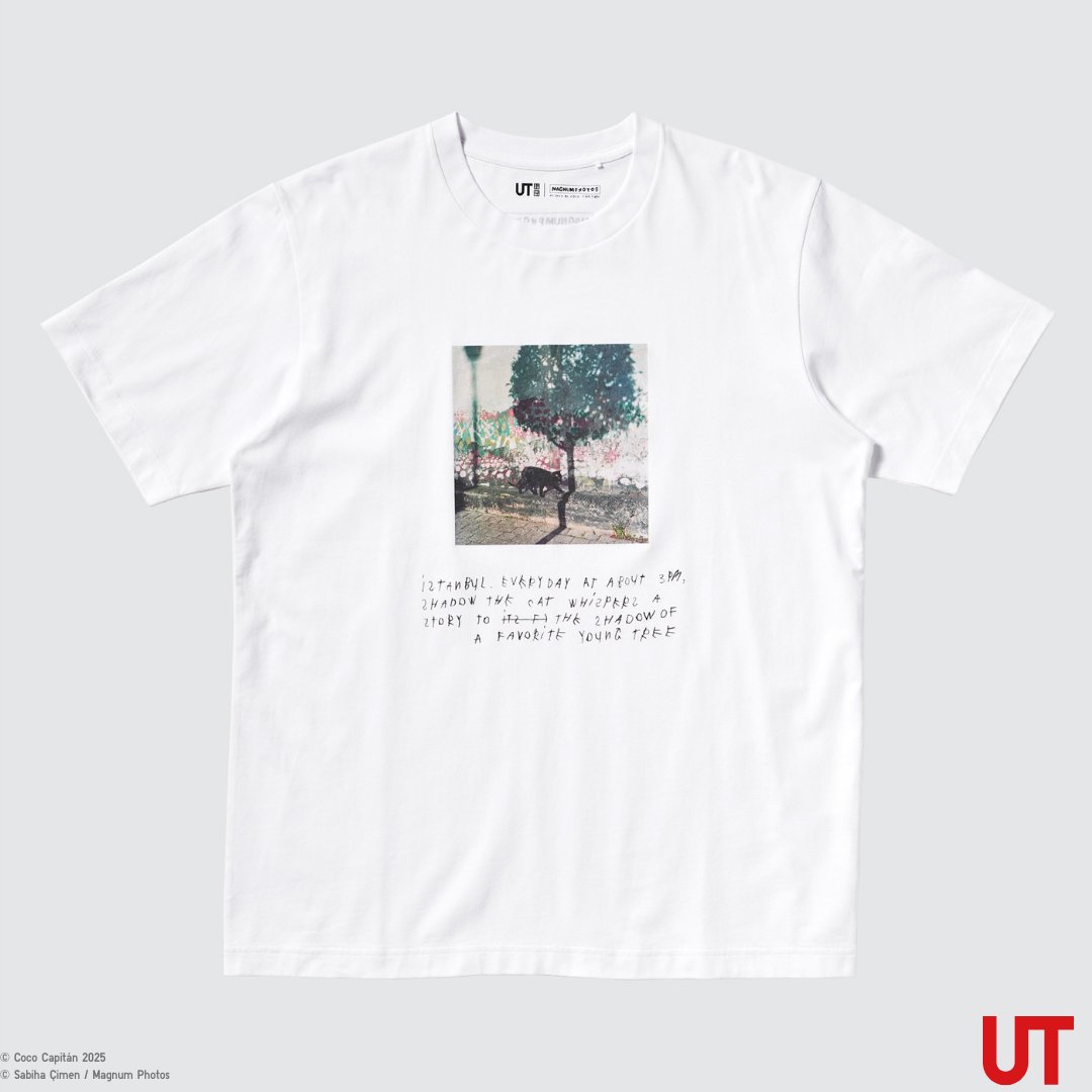UNIQLO_JP's tweet photo. 2月上旬販売予定
マグナム・フォト
❖━━━━━━❖
「猫」をテーマに、マグナムフォトの写真と
ココ・キャピタン #CocoCapitan の言葉が織りなす、スぺシャルコレクション。
https://t.co/EtF9YKteuW
#UT 
#ユニクロ https://t.co/sdNjns1BRX