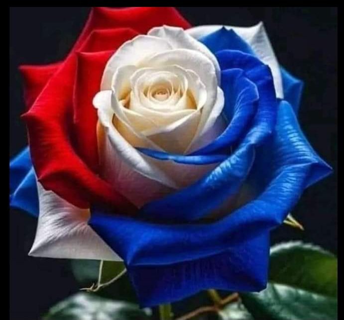 LSiritto's tweet photo. @Nataliabrites5 Salú Uruguay!!! Por los que estuvieron, los que estamos y los que vendrán... 
Viva el Frente Amplio 
FELICITACIONES https://t.co/O8akG9mmd1