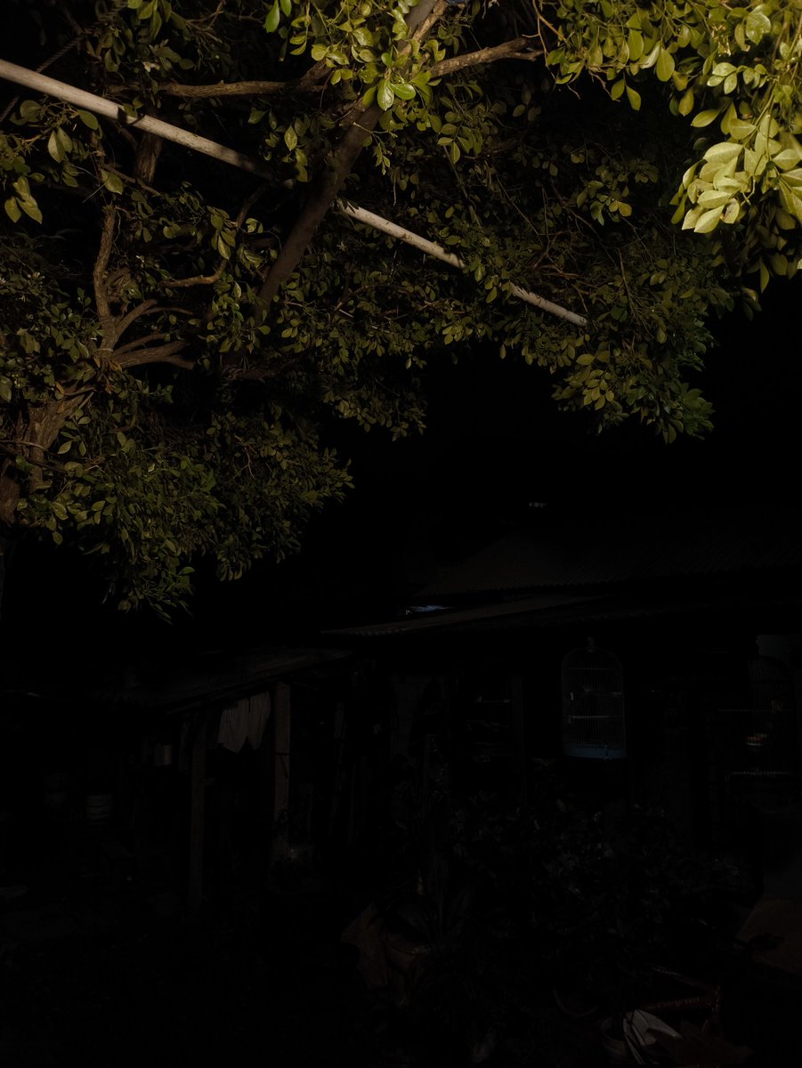 CAPE GUA MAH tweet media