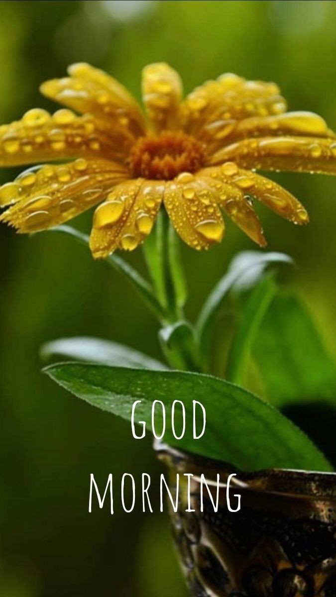 Drought_Squid's tweet photo. #goodmorin #moring Every morning is a fresh start, a new blessing, and a second chance to make the most of what we have. Rise and shine! ✨ https://t.co/AL2b249Exj