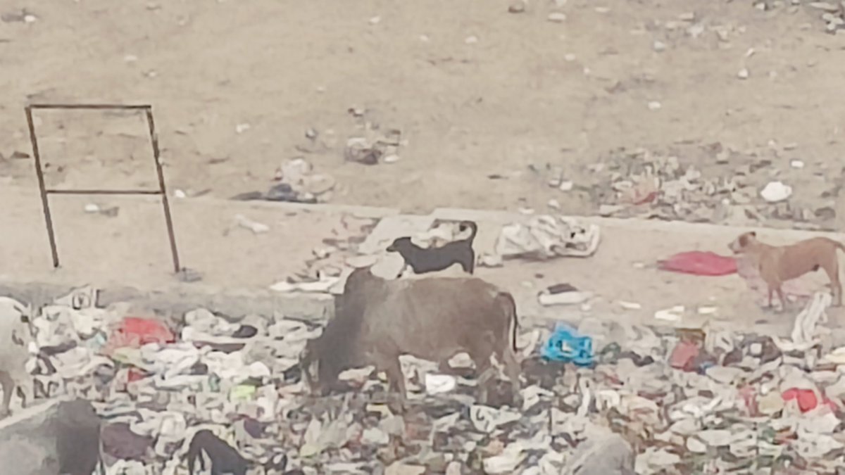 Sanjay kumar Saxena tweet media