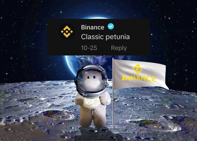 dimeloencripto's tweet image. Looks flush is almost complete what are you cooking? 👀 #petunia