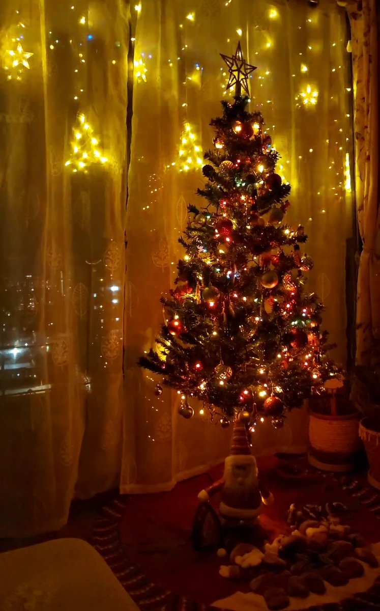 flomex11's tweet photo. Espíritu Navideño!! #Navidad2024 🎄✨️❤️ https://t.co/AWnQdZ8c6Y