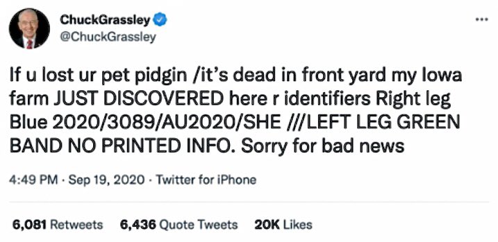 s_pidgin's tweet image. 