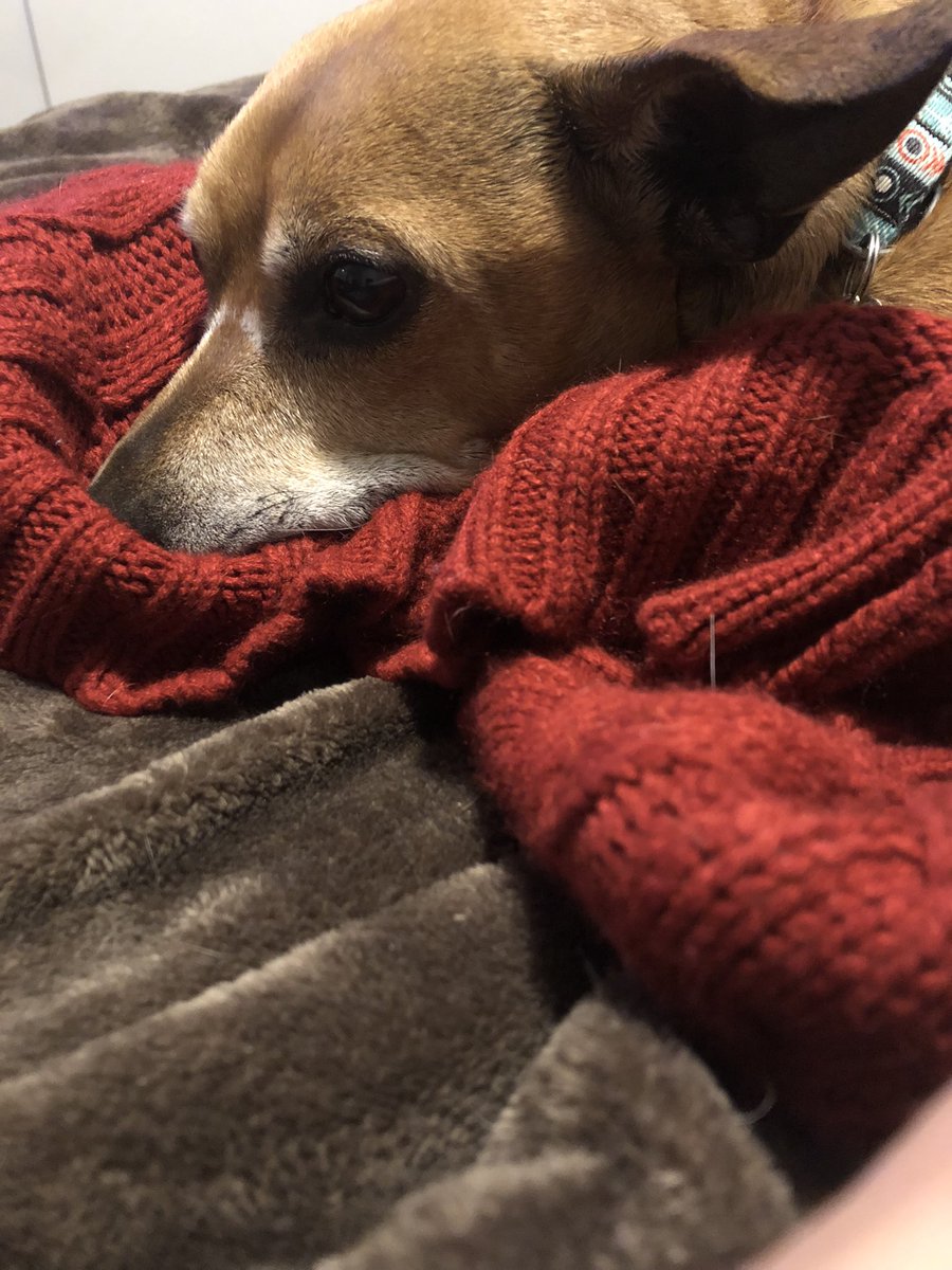 Wade and Boone 🇺🇸 tweet media